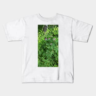 Lovely Purple veined Vetchling Kids T-Shirt